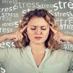 Your body on stress